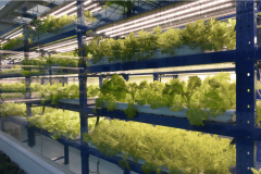 <b>想脱颖而出</b>